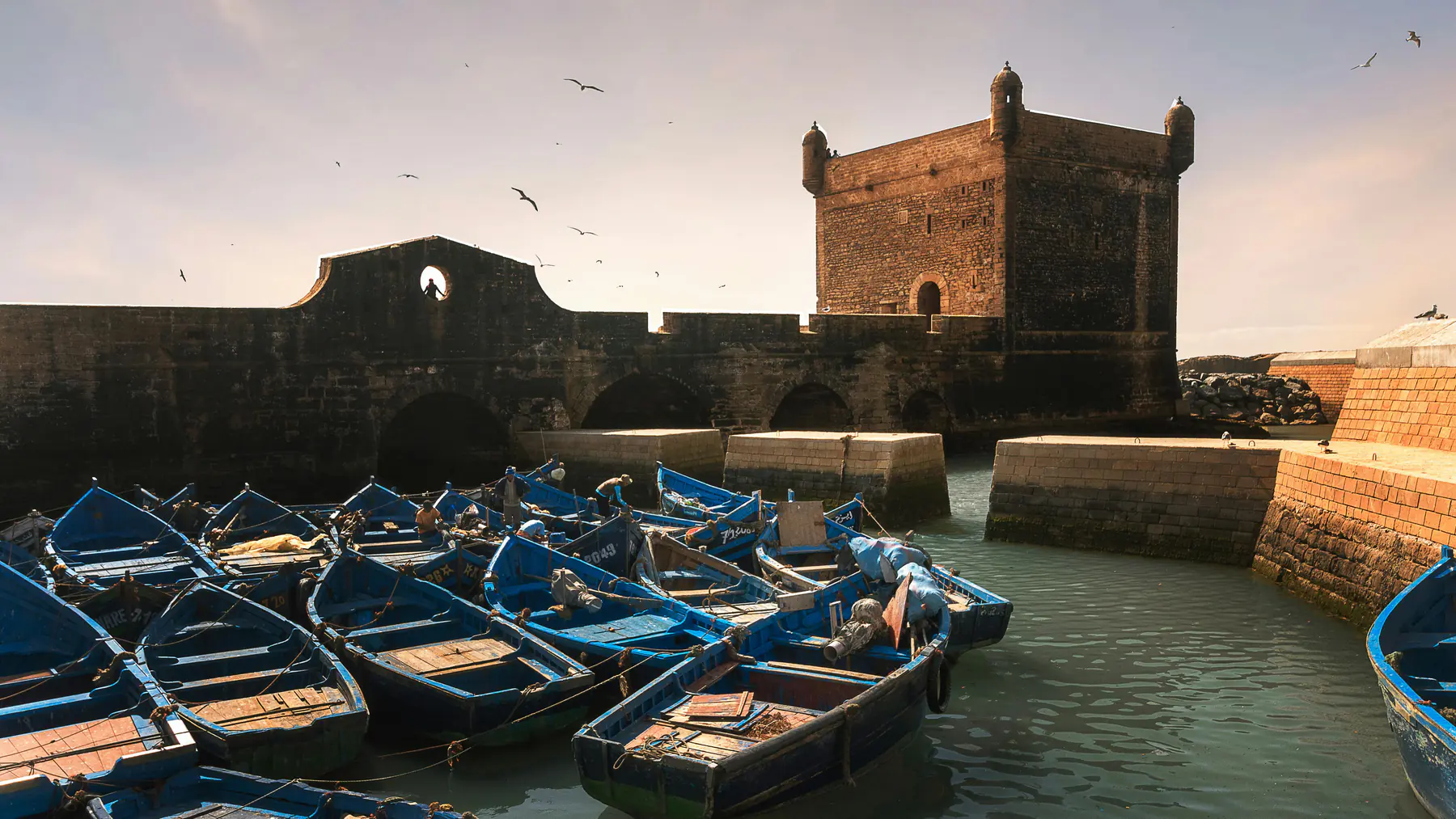Trade-wind sweeping Essaouira beach in late afternoon