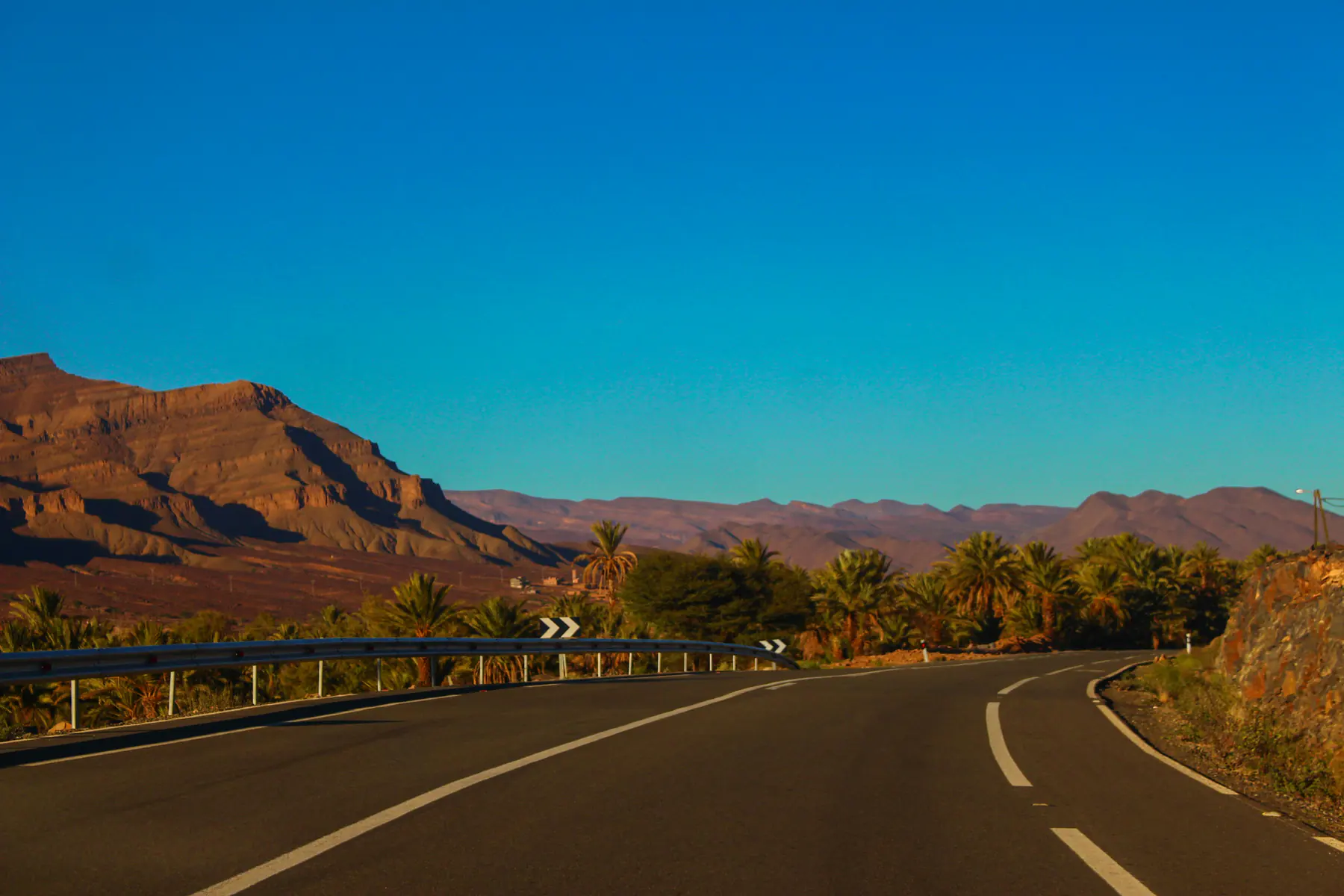 Forêt d'arganiers sur la route Marrakech-Essaouira en fin d'après-midi