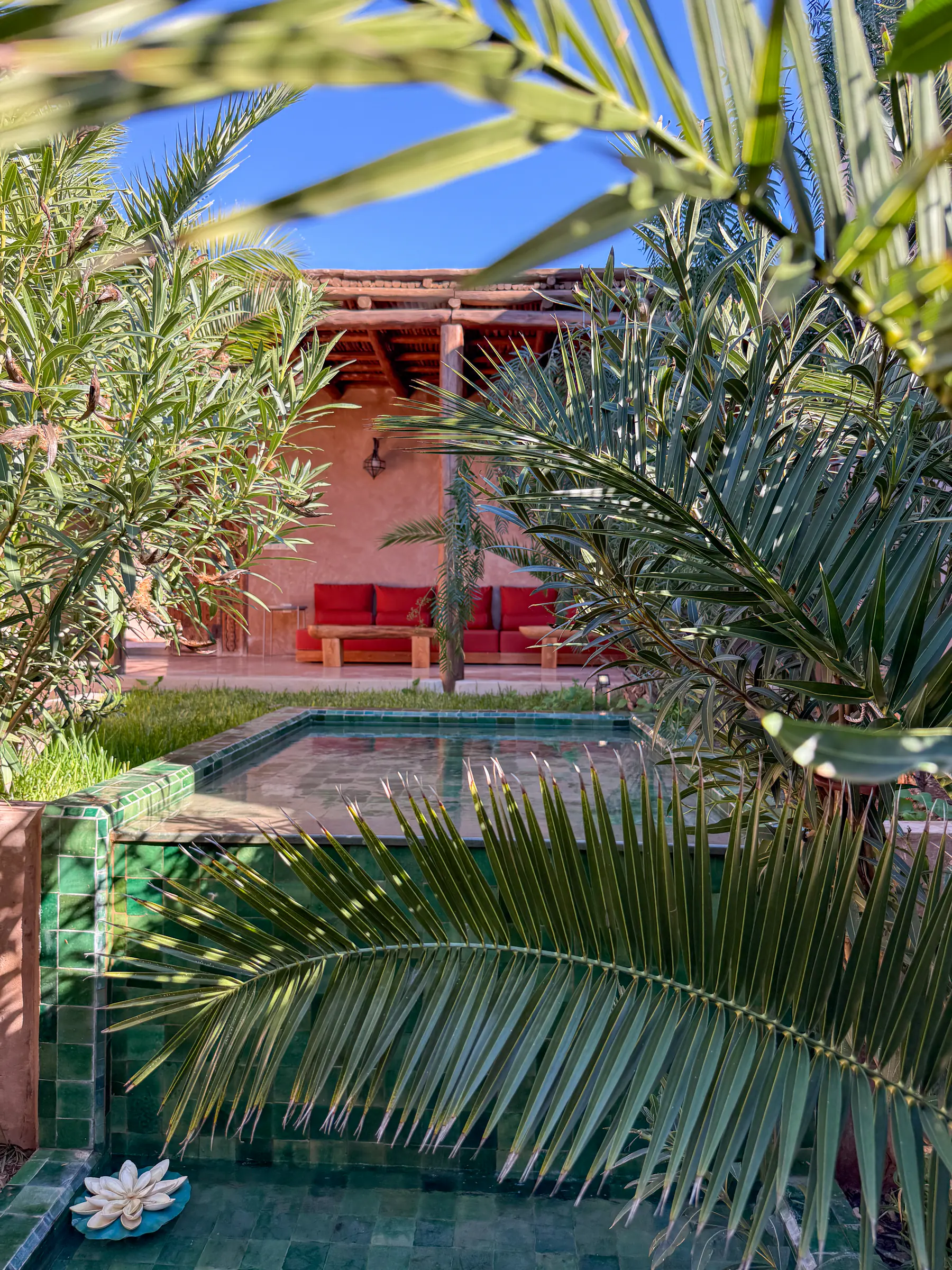 Jardin de Thuya House — coin détente à l'ombre